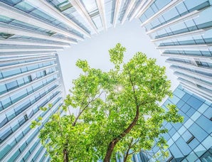 Featured sustainability in procurement how cpos can balance the planet and profits