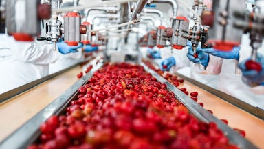 Insight hero a global food producer takes a fresh approach to transform revenue recovery jp