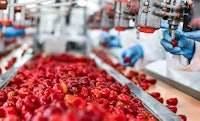 insight-portrait-a-global-food-producer-takes-a-fresh-approach-to-transform-revenue-recovery.jpg