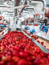 Insight portrait a global food producer takes a fresh approach to transform revenue recovery